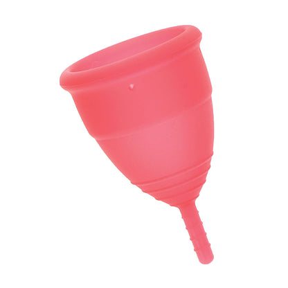 Menstrual Cups Large 2-Pack 3 Inches - Mae B Cycle Devotion