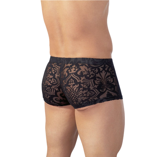 Svenjoyment Patterned Brief - Transparent Devoré Elegance