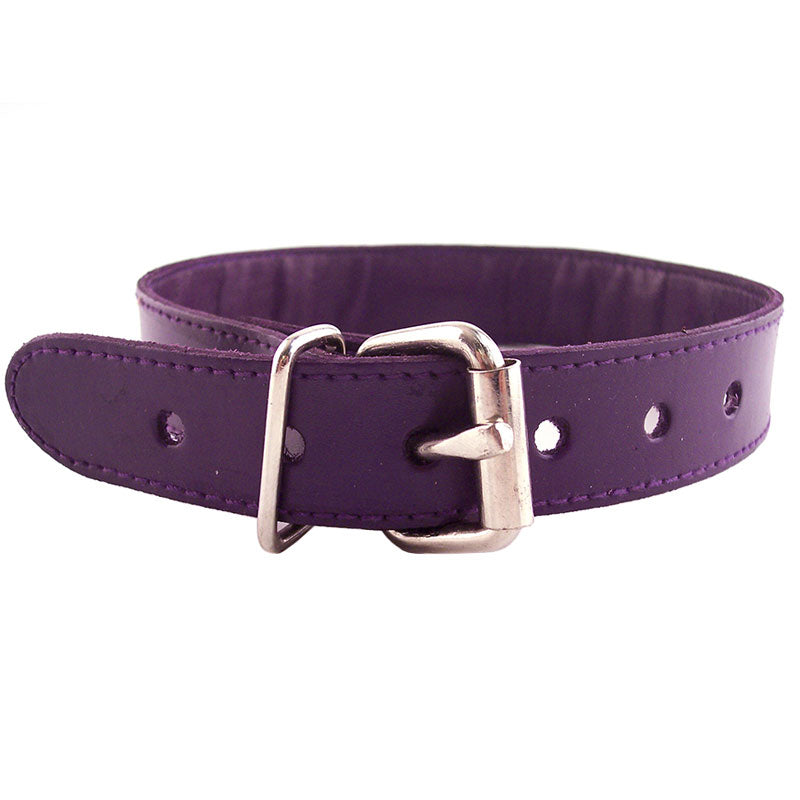 Rouge Purple Studded O-Ring Collar 19" - Crown O-Ring