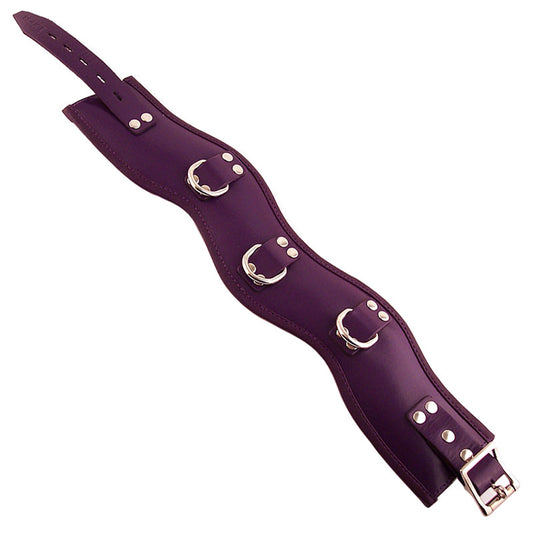 Rouge Purple Padded Posture Collar 16.5" - Crown Posture Pure