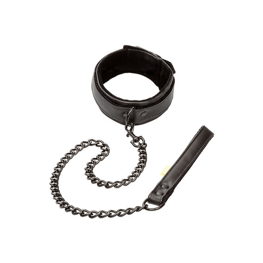 Boundless Collar and Leash Black - Detachable Heavy-Duty Chain Padded Vegan Leather