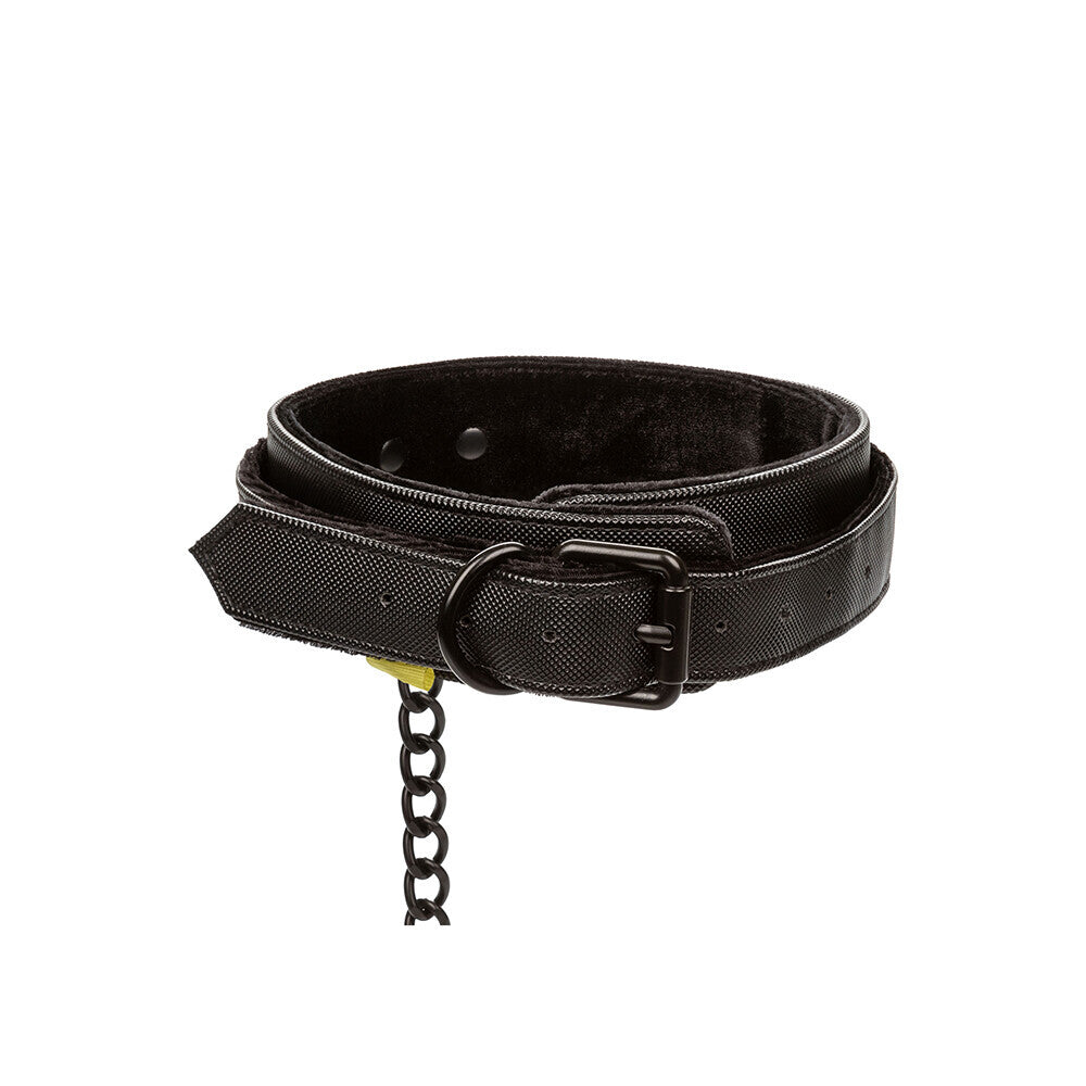 Boundless Collar and Leash Black - Detachable Heavy-Duty Chain Padded Vegan Leather