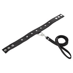 SportSheets Leather Leash & Collar 42" - Studded Devotion